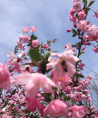 ·������