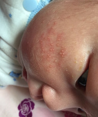 ����һ��