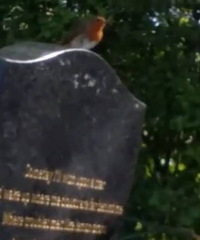 ��ȥ����4���к� ����֪��������������裿���ѣ�������