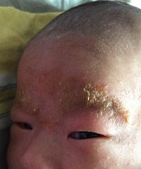 40�챦����üë����ͷ���л�ɫ���裬����С��㡣