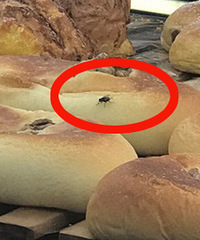 ����ĳƷ�Ƶ��������� �в�Ӭ������ȥ