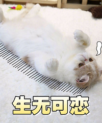 �˾�����Աȷ��ۣ��ҿ��ܲ��Բ���Ŭ��10��ֻ����һ����������