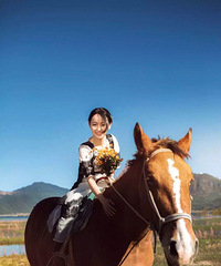 ��2017�������ռǡ���������ɹɹ