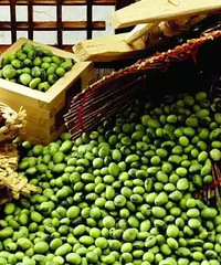 【健康】太全了!绿豆、黑豆、红豆,各种豆的好处都在这