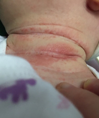 ����51�챦���Ͳ������� �������