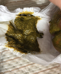 ������̰�