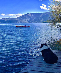 ��ã��ܸ������ܿ�������š�