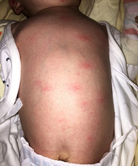 ��ʪ�������������