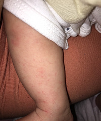 ��ʪ�������������