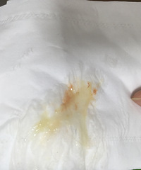 ������ ���Ǽ����ˣ����Ƿ��������