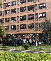 ͬ�ô�ѧ��������ĵ�Ӱ�� ����N��Թ�Ⱥ�ڱ�ʾ�����²�