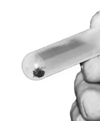 5���޺�����ʹ �ҳ�����ͷ��һ�����궼�ŵ��ˣ��������Ҫע��