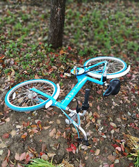 �ѳ����ﻵ�˾����ڰ�·�� ������Ҳ�������ˣ�