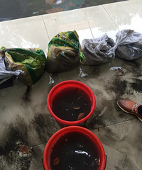 ������·�̻�����࣡һ�´���͡��������ա�  ��ʱ�Ǹ�ͷ��