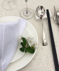 ���羫���������ص�