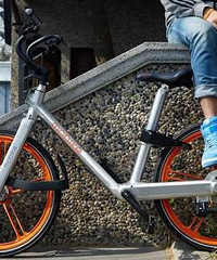 19¥�����ײ�������ֹ������������������