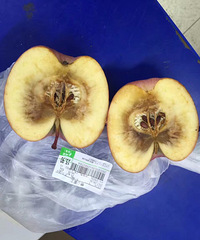 ����ĳ���ͳ������ƻ�� 12.8Ԫ/�� �ĺú�...