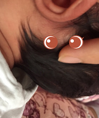 ����˳��20�� ��������ͻ��һ��