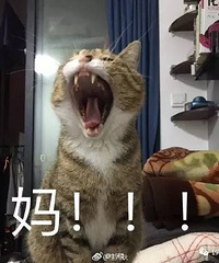 ��Ӧ����ʷ����ǿ�и��ˣ���̥9���µ�Ella��Ȼ...