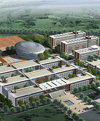 ����ѧ�����Ա� ���ѡ�����ĸ���