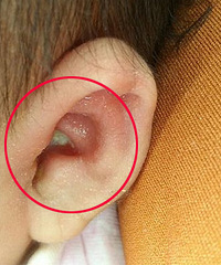 ������Χ�л�ɫ�Ķ��� ��ˮ �����