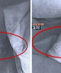 ˳����һ����Ӥ ����ȴ�Ѿ�ز�ۣ�