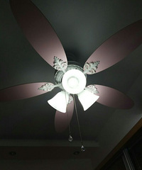 ��ɫ����Ҷ����250Ԫ�����ȵģ�