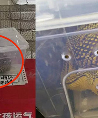 �ţ��𿪰��� �������һ���ߣ�