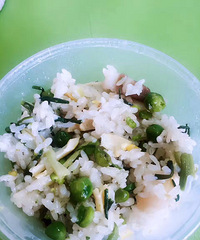 �緹�����ճ�����Ұ�׷� ζ��������