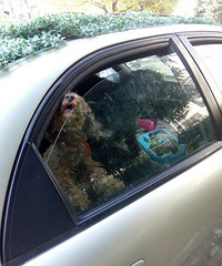 ��ò��繷������С���и����� ����һ���� ר����������ס