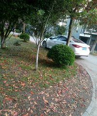 ��λ��磡ϣ���㲻Ҫ�ѳ���ͣ��ת��·���� �Ա߾��ǳ�λ