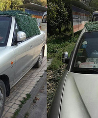 ���⣡������������ר����������