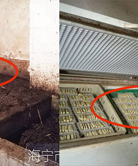 �����ˣ����˷Ƿ��������ӹ��ѵ��ع⣡