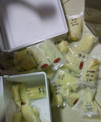 ������������ �Ȳ���Ľ��࣡