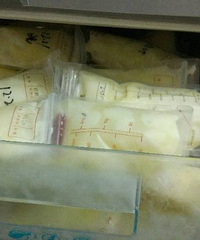 ������������  ���䶼���ˣ�