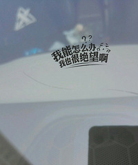 ǰ�������γ����� ���¿��ſ��ű����ˣ�