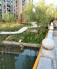 ����������...���˰ѹ��������ӵ��˺��