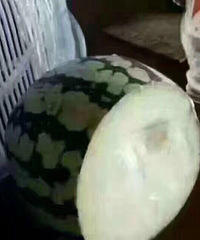 �п�һ�������� ����Ȧ�ˣ��������ϱ����� ���Ƕ��ϳ����ˣ�