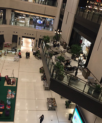 ��һ������õĿ��ȹ� ���滹�и�С����Ȫ