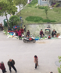 ����ĳС���������˵Ĵ�ү�����ͣ��λȫ��ռ�ˣ�