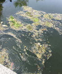 ���ģ�����Ʈ�źö����� ������С