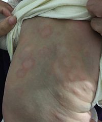 ��ѯ����:����