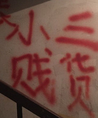 ����ĳС������С��ǽ Ѫ����6�����ִ�Ŀ����