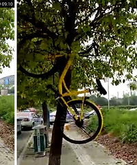 ������վ���� ���������������ˣ�