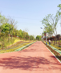 ���������̵������� ��·��ï�ܵ�ɭ�� ���ܿ���