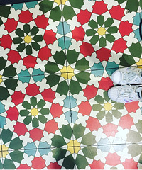 ɹɹ�ҵ��˶�Ь