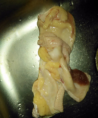 �����ˣ��˳�����ֻ��Ѽ �ؼ��ƿ�����֬���м����׺�