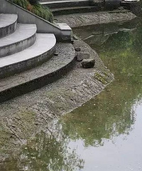 ��ʹ��һ��СŮ������3����ˮ�أ�����������