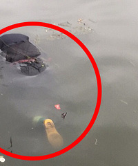 �����������Ůʬ��Ȼ�ǽ���Ʈ������