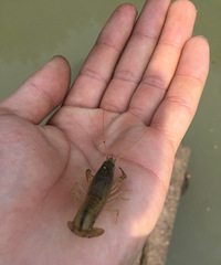 �������������������ҵ����ö�С��Ϻ